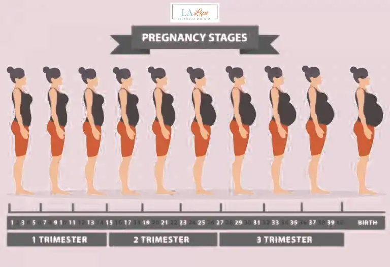 First Trimester (Weeks 1–12): Early Changes You Might Not Notice Bedford Park